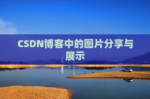 CSDN博客中的图片分享与展示
